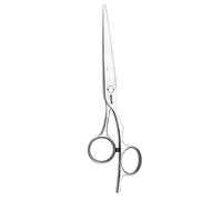 Jaguar pelo Tijeras Silver Line Fame 5.5 pulgadas