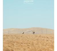 Jaguar Sun - For You [Vinilo]