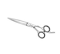"Jaguar Gold Line Tijeras de pelo Heron 6"""" de plata"