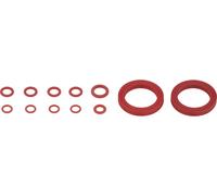 Jagwire Juntas tóricas de repuesto para Elite Bleed Kit rojo aceite mineral