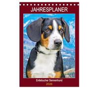Jahresplaner Entlebucher Sennenhund (Tischkalender 2026 DIN A5 hoch), CALVENDO Monatskalender: Die kleinste Rasse der Schweizer Sennenhunde - der Entlebucher