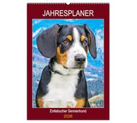 Jahresplaner Entlebucher Sennenhund (Wandkalender 2026 DIN A2 hoch), CALVENDO Monatskalender: Die kleinste Rasse der Schweizer Sennenhunde - der Entlebucher