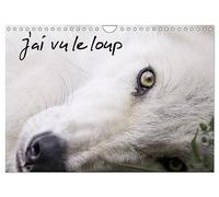 J'ai vu le loup (Calendrier mural 2025 DIN A4 vertical), CALVENDO calendrier mensuel: Loups gris et loups arctiques du Canada