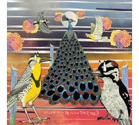 JAIMIE BRANCH - FLY OR DIE FLY OR DIE FLY OR DIE ((WORLD WAR)) [Vinilo]