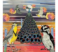 JAIMIE BRANCH - FLY OR DIE FLY OR DIE FLY OR DIE ((WORLD WAR)) [Vinilo]