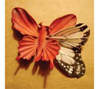 Jain, Essie - We Made This Ourselves