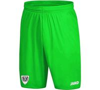 JAKO Away, (Saison 19/20) Pantalón Corto de SC Preußen Münster, Hombre, Verde Deportivo, Medium