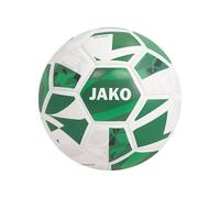 JAKO Balón de Entrenamiento River, Blanco/Verde, 4