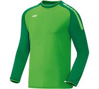 JAKO Campeón Sudadera de Entrenamiento, Hombre, Verde Suave/Verde Deportivo, 140