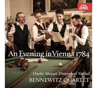 Jakub Fišer, Štěpán Ježek , Jiří Pinkas, Štěpán Doležal - An Evening In Vienna 1784