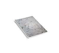 Jalema 7438307 Marble Notes Light Grey Pack de 6