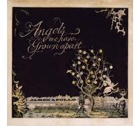James Apollo - Angels We Have Grown Apart [Vinilo]