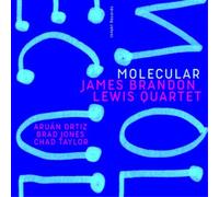 James Brandon Lewis Quartet Molecular (CD) Album (Importación USA)