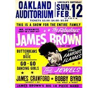 James Brown - Póster de concierto de estaño para decoración de pared, póster de metal, placa retro de advertencia, manualidades para oficina, cafetería, club, bar
