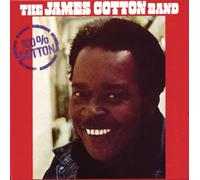 James Cotton - 100 Per Cent Cotton