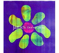 James - Destiny Calling