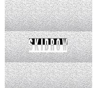 James Ferraro - Skid Row [Vinilo]