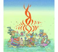 James Holden Imagine This Is a High Dimensional Space (Vinyl) (Importación USA)