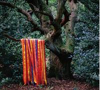 James Holden - The Animal Spirits