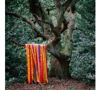 James Holden & The Animal Spirits The Animal Spirits (CD) (Importación USA)