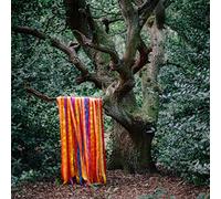 James Holden & The Animal Spirits - The Animal Spirits [Vinilo]