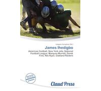 James Ihedigbo: American football, New York Jets, National Football League, Marques Murrell, Derek Fine, Rex Ryan, Oakland Raiders