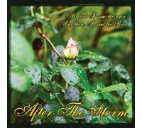 James McCoy - After the Storm