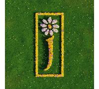 Nothing But Love - The Definitive Best Of -5LP [Vinilo]