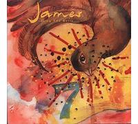 James Ring The Bells 1992 UK 7" vinyl JIM11