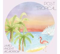 James Vincent McMorrow Post Tropical (Vinyl) (Importación USA)