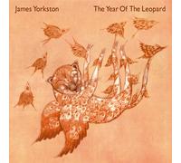 James Yorkston – The Year Of The Leopard – Vinilo 2LP – Integral