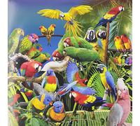 Jameszoo - Guanyin Psittacines [Vinilo]