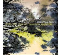 Jamie Saft - Strength & Power