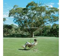 Jamie T - The Theory Of Whatever