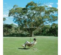 Jamie T - The Theory Of Whatever