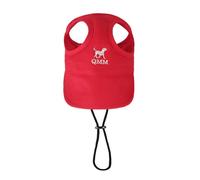 JAMIEKA - Sombrero de sol para perro de moda para aventura al aire última intervensión, gorra de tela transpirable con orificio para las orejas, perfecto para caminar y jugar en interiores