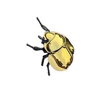 JAMNGHB Escarabajo ABS juguete de arrastre de cuerda para aliviar el estrés para aula, hogar, ciencias naturales, exploración, diseño seguro, simulación, escarabajo