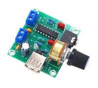 JAMNGHB PM2038 - Amplificador auditivo de alimentación USB de 5 W x 2 salidas para una integración perfecta y mejora el módulo de amplificación auditiva USB
