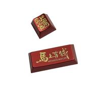 JAMNGHB Teclas de aduanas, teclas de repuesto para el año del caballo, tapa de metal, tecla Esc Enter para teclado mecánico DIYS ESC Enter Keycap