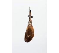 Jamón de Bellota 100% ibérico. DOP JABUGO «Summum». LAZO (8-9 KG) Envio express 24H…