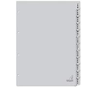 jan-dec Kangaro - Separadores (A4, polipropileno, 120 micrones, 4 unidades, 12 unidades)