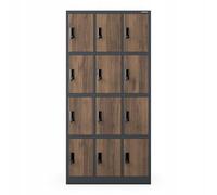 Jan Nowak Armario para Vestuario 3B4A Taquilla Metálico con 12 Compartimentos Ranuras de ventilación Recubrimiento de Polvo 185 cm x 90 cm x 40 cm Antracita-Madera