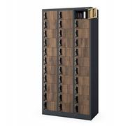 Jan Nowak Taquilla Vestuario 3B11A Armario Metalico con 33 Compartimentos Ranuras de ventilación Pintura en Polvo 185 cm x 90 cm x 45 cm (Antracita-Madera)