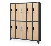 Jan Nowak taquillas metálicas Vestuario 10 Puertas con Cerradura Armario metálico con Barra ventilación Almacenamiento empleados Gimnasio Oficina Acero Resistente 172 x 136 x 45 cm