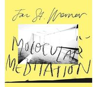 Jan St. Werner - Molocular Meditation [Vinilo]