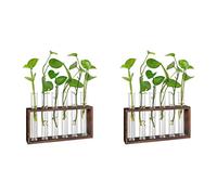 Janasiba 2 plantas terrario con soporte, colgante de mesa/pared, estación de multiplicación para plantas vivas, recipientes de plantas, tubos de cristal, hidropónicos