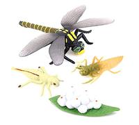 Janasiba de Vida De Una Libélula Insectos Vida Ciclos Crecimiento Modelo Niños Animal Crecimiento Juguete Educativo