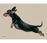 Jane Bannon Freddy - Impresión sobre Lienzo, Multicolor, 60 x 80 cm