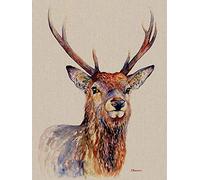 Jane Bannon - Lienzo (60 x 80 cm), Multicolor