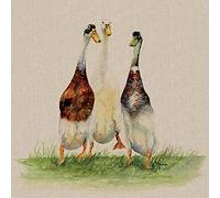 Jane Bannon Lienzo de Pared, Cuadro Decorativo Multicolor, 60 x 60 x 3,2 cm